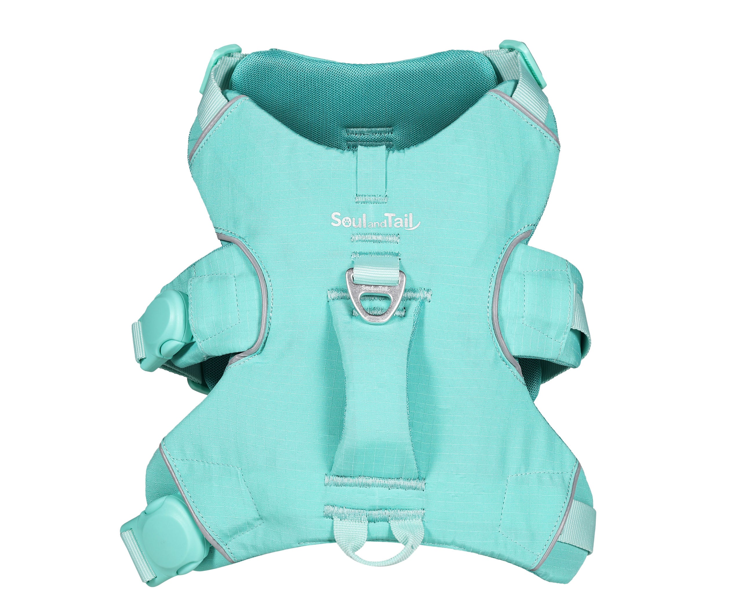Turquoise dog harness on a white background