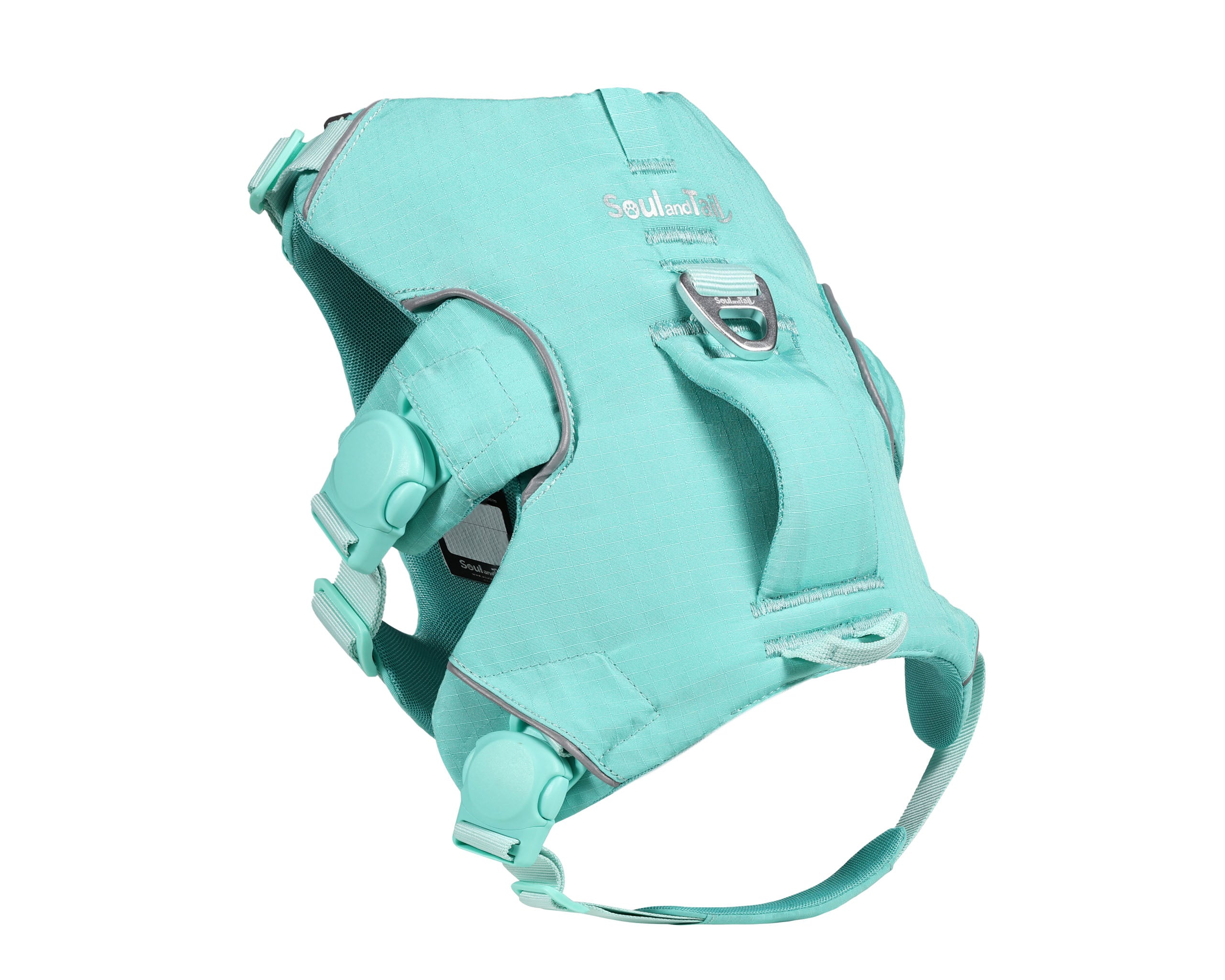 Turquoise dog harness on a white background