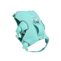 Turquoise dog harness on a white background