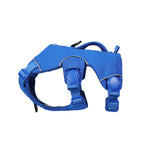 Blue dog harness on a white background