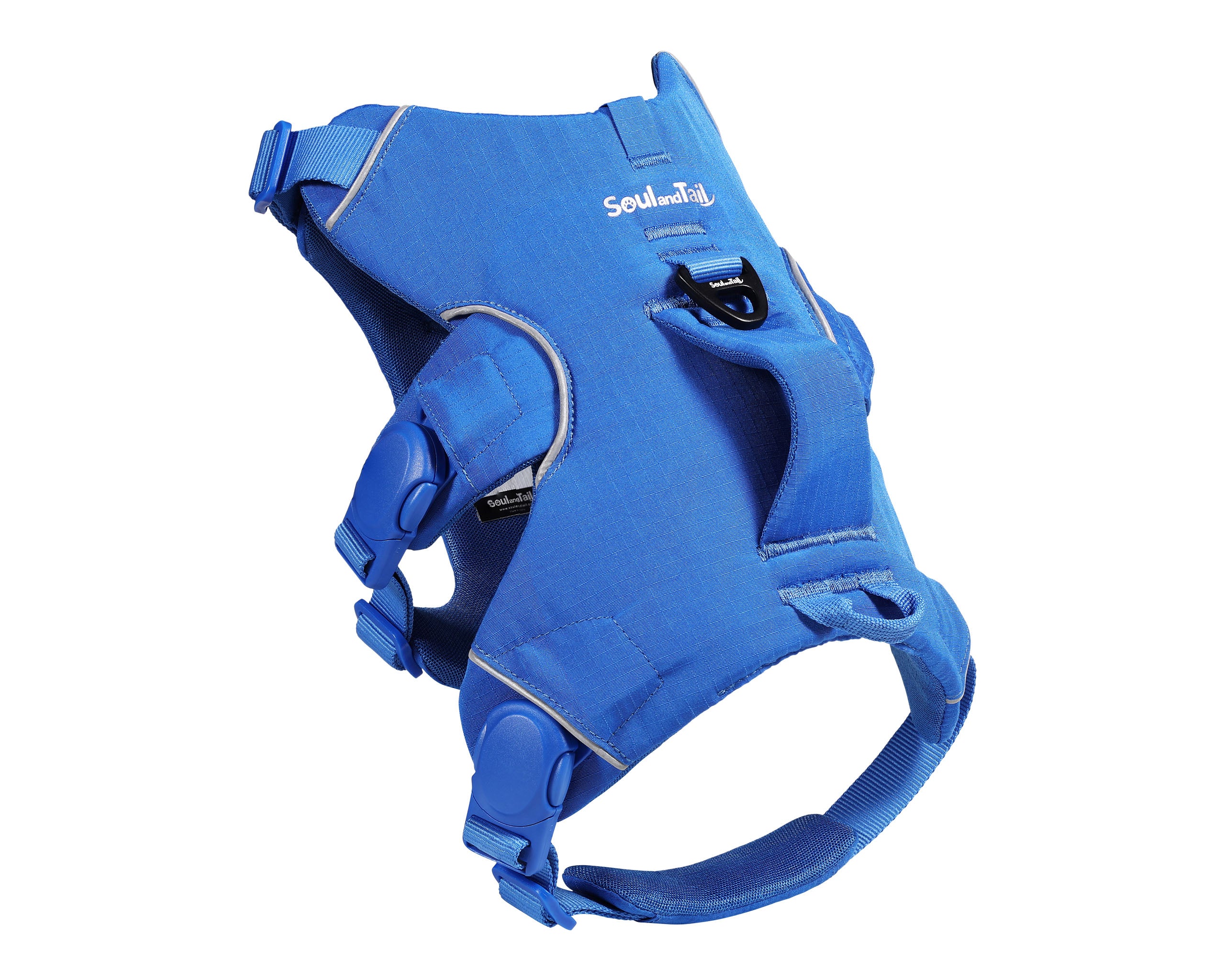 Blue dog harness on a white background