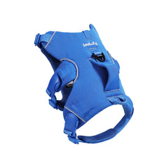 Blue dog harness on a white background