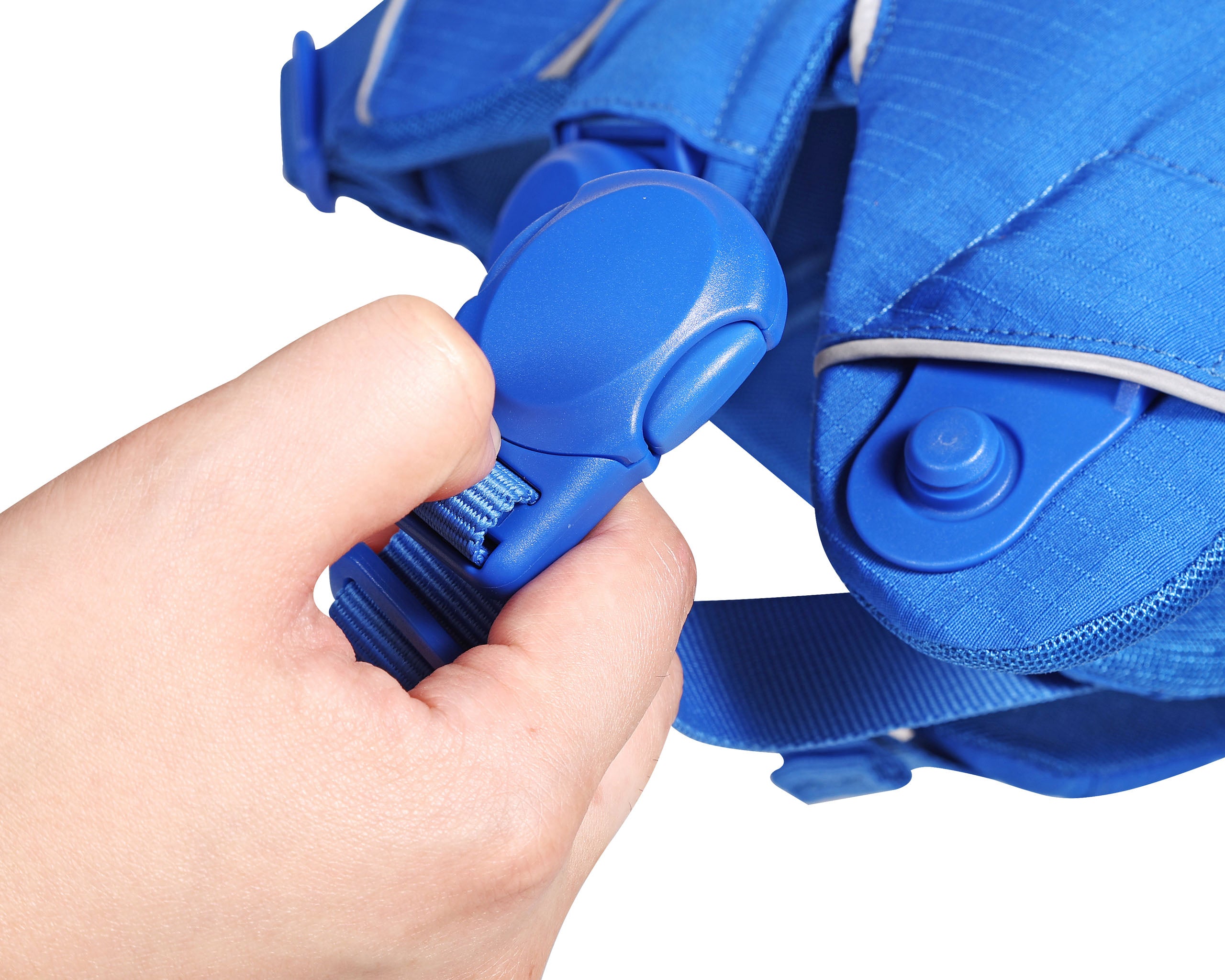 Hand adjusting a blue strap on a blue harness, trying to close the magnetic buckle, against a white background