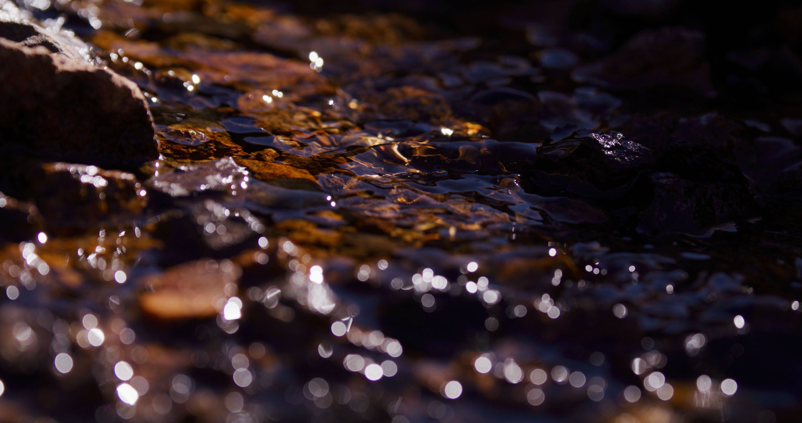 Close-up of water flowing over rocks with a dark background
