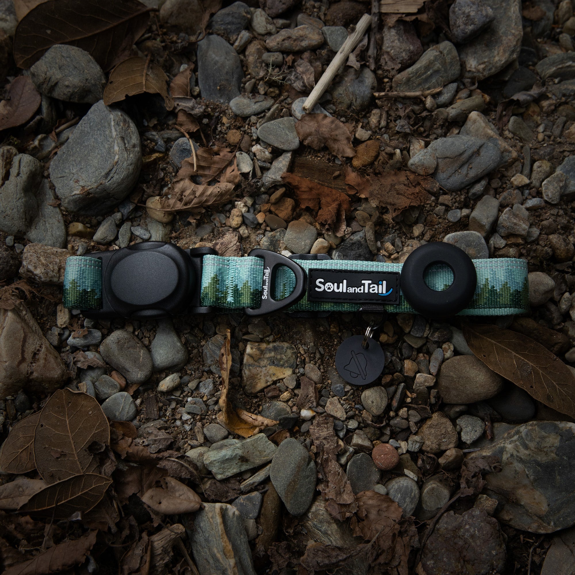 A green forst mist patterned dog collar on a rocky ground with leaves