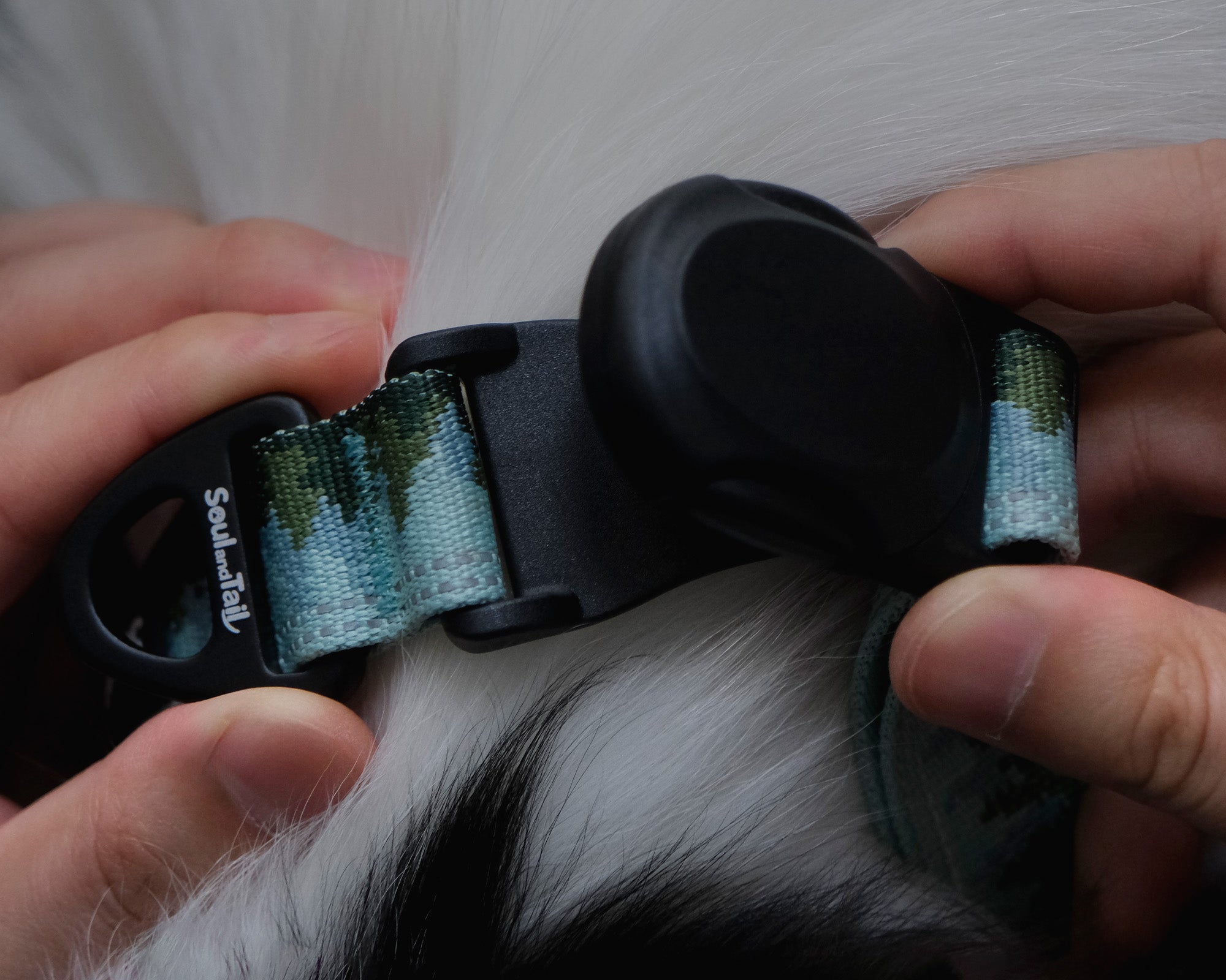 A pair of hands snapping a black magnetic buckle on a dog collar with a visible brand logo on white dog fur background