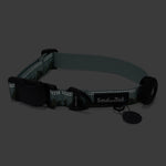 Reflective dog collar with 'Soul and Tail' branding on a dark background