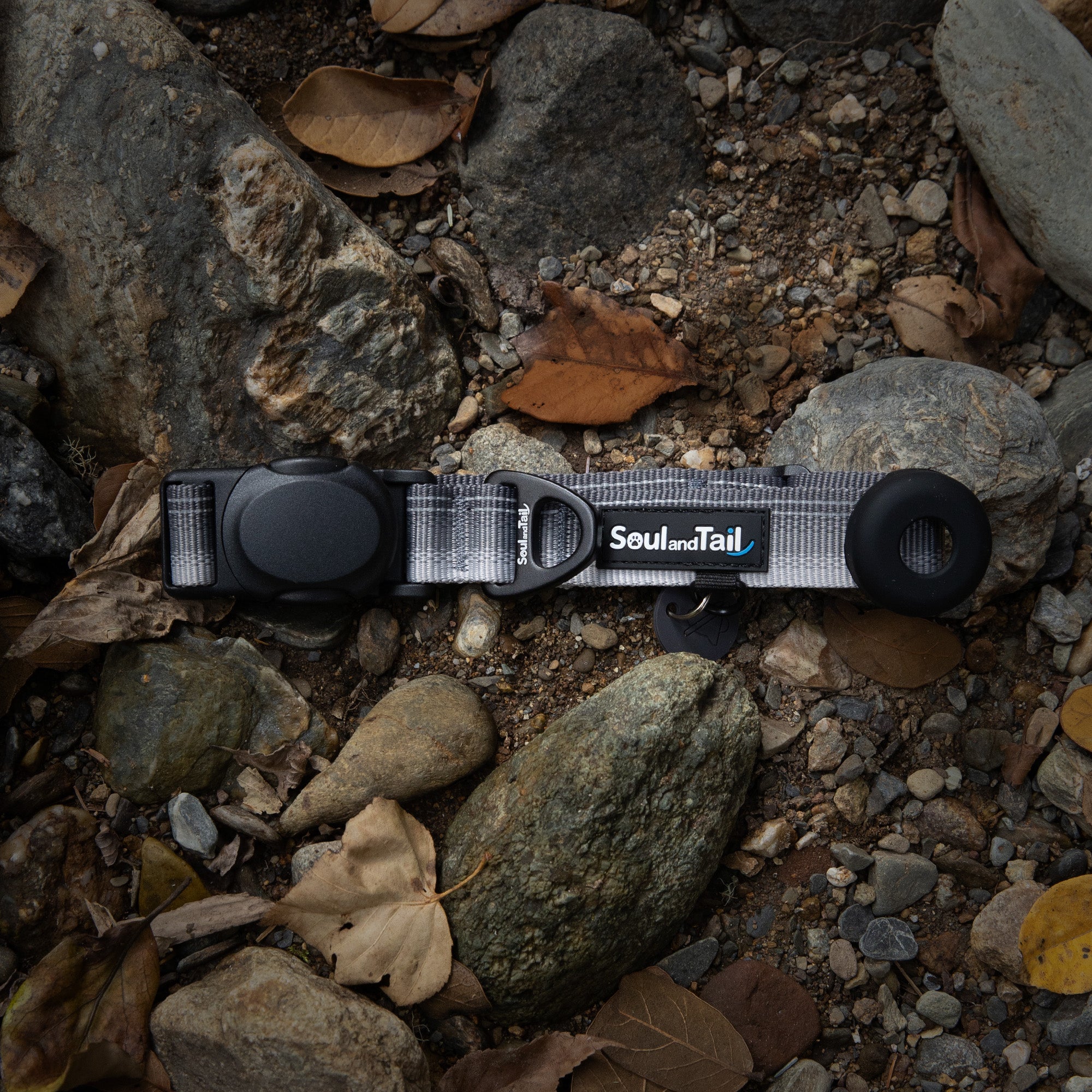 A gray daily fit dog collar with 'Soul and Tail' branding on a rocky ground