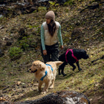 Woman walking two dogs on a trail in a natural setting, with one dog wearing a blue harness, and the other wearing a pink harness, both the daily roam harness