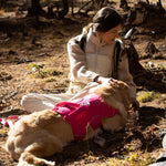 Woman sitting with a dog wearing a pink dog harness in a natural setting