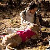 Woman sitting with a dog wearing a pink dog harness in a natural setting