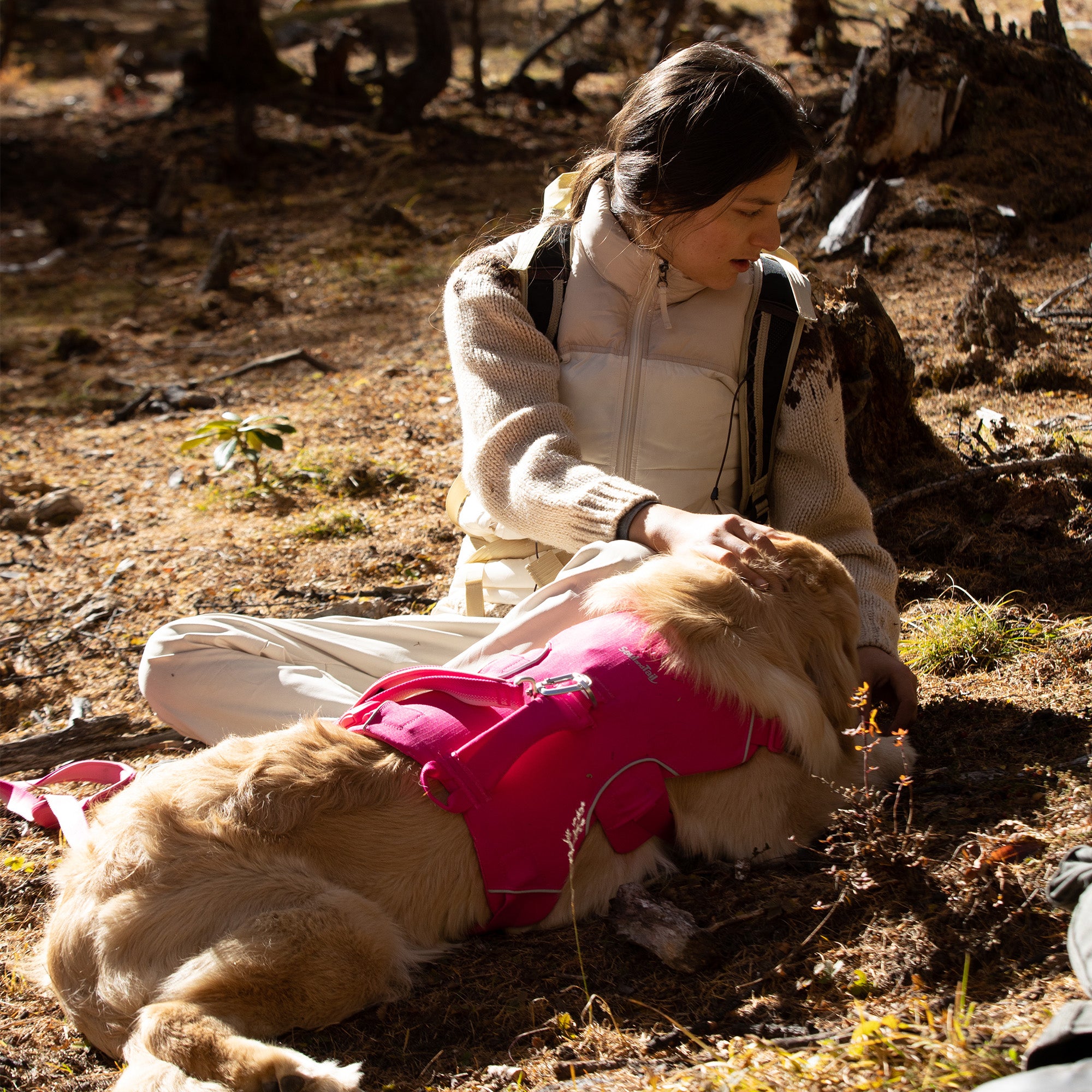 Woman sitting with a dog wearing a pink dog harness in a natural setting