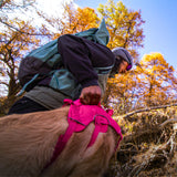Hiker lifting a dog over a fallen log by the handle of its pink Trail Leap harness