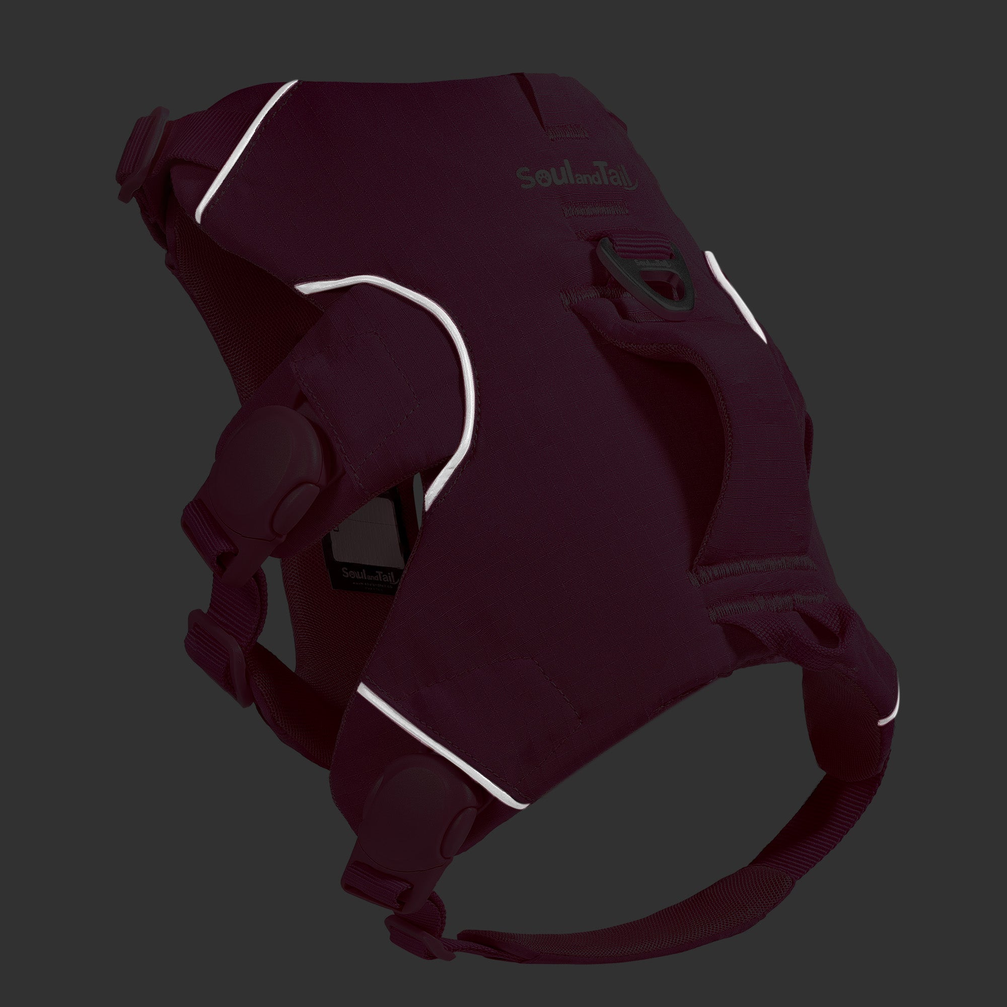The edges of a trail leap harness being reflective in a low-light condition