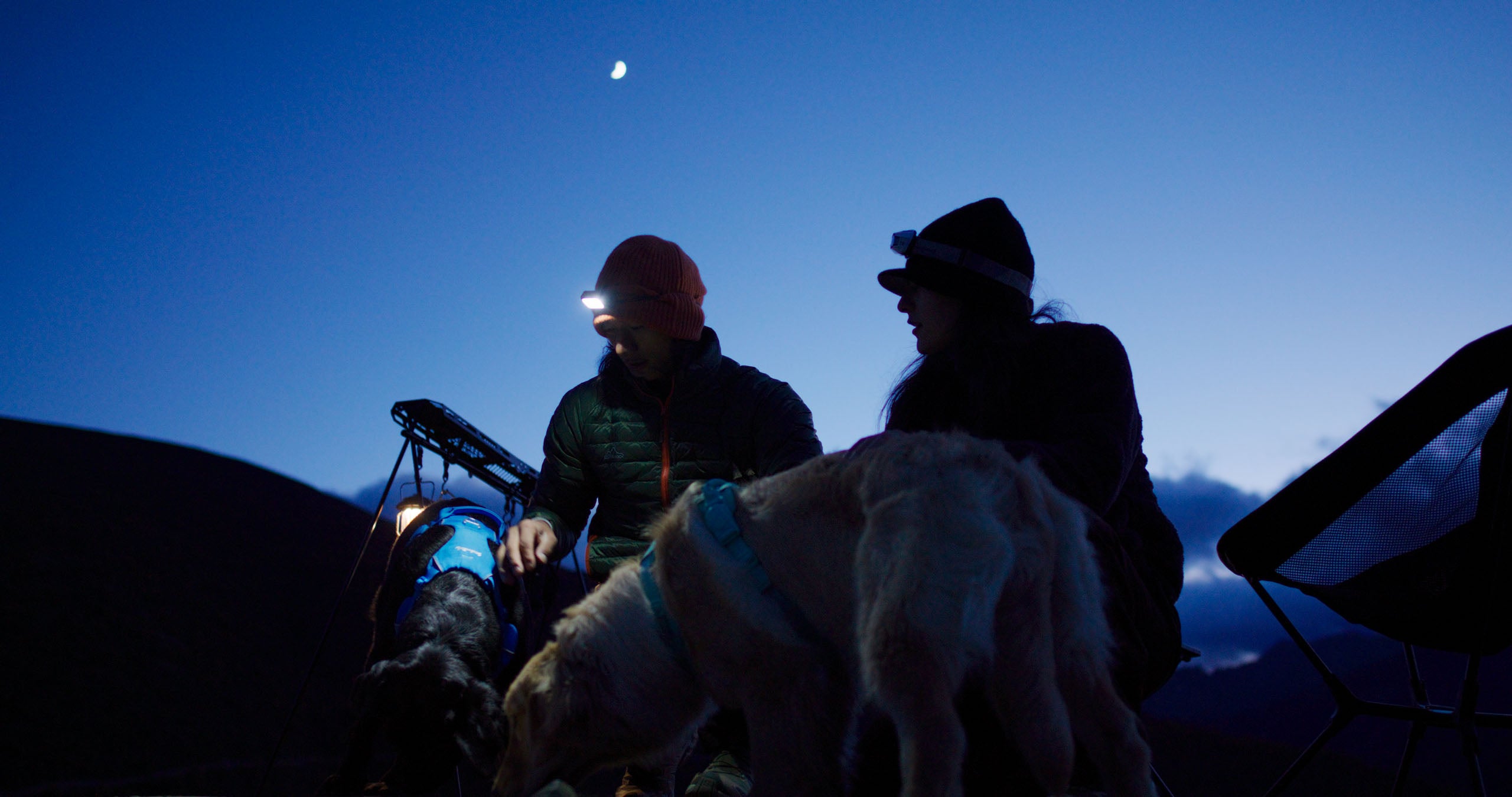 Two people with a dog sitting on a mountain at night under a starry sky.