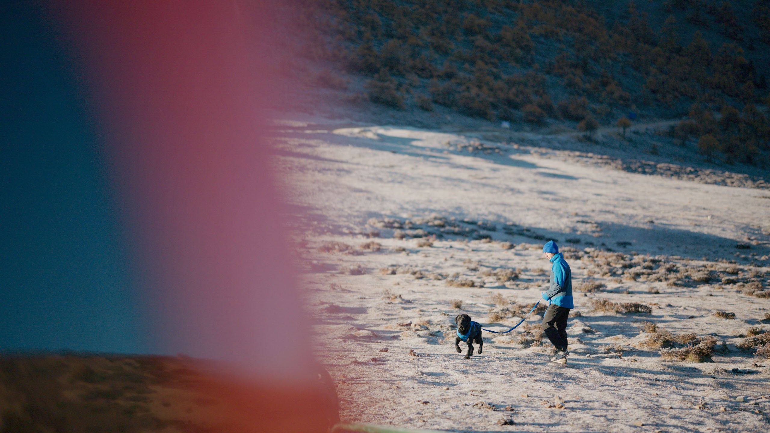 Person walking a dog in a desert landscape with mountains in the background