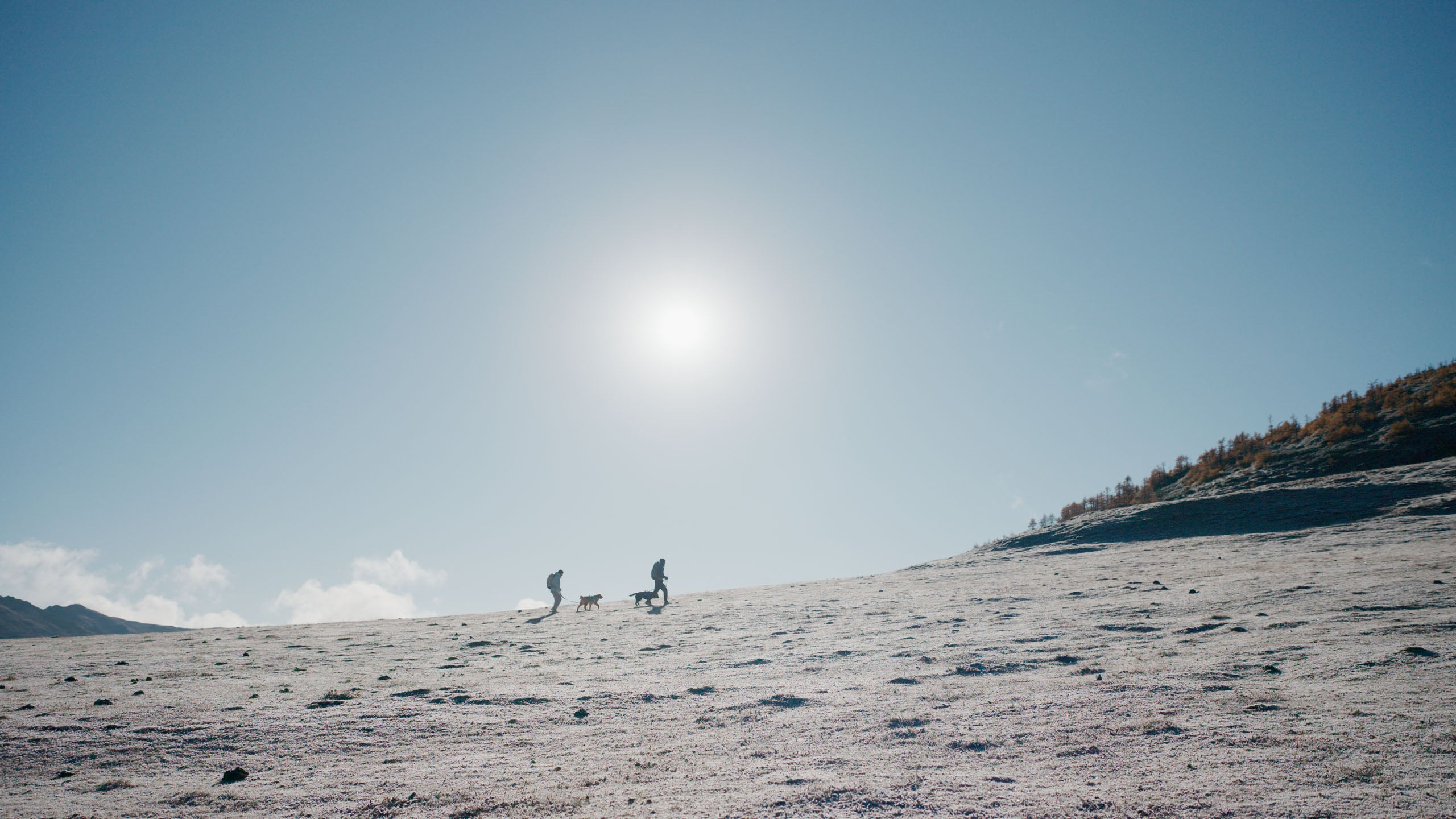 Two people walking on a snow-covered landscape with a clear blue sky and sun.