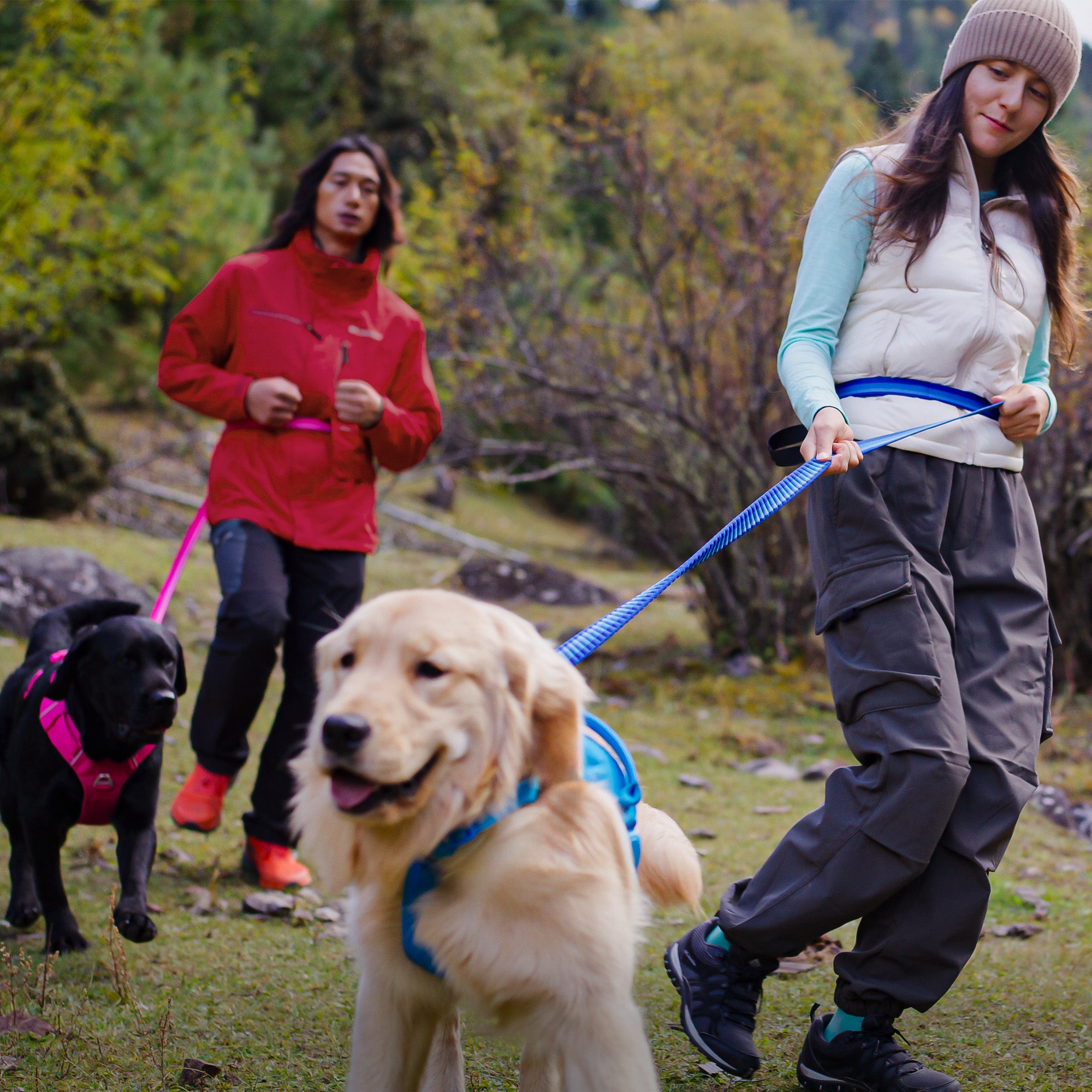 A couple and two dogs running, with waist-worn dog leashes, each attaching a dog wearing harnesses