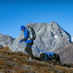 Man walking a black dog in a blue Trail Leap harness on an Indigo Sea Trail Dash leash, snowy mountain behind