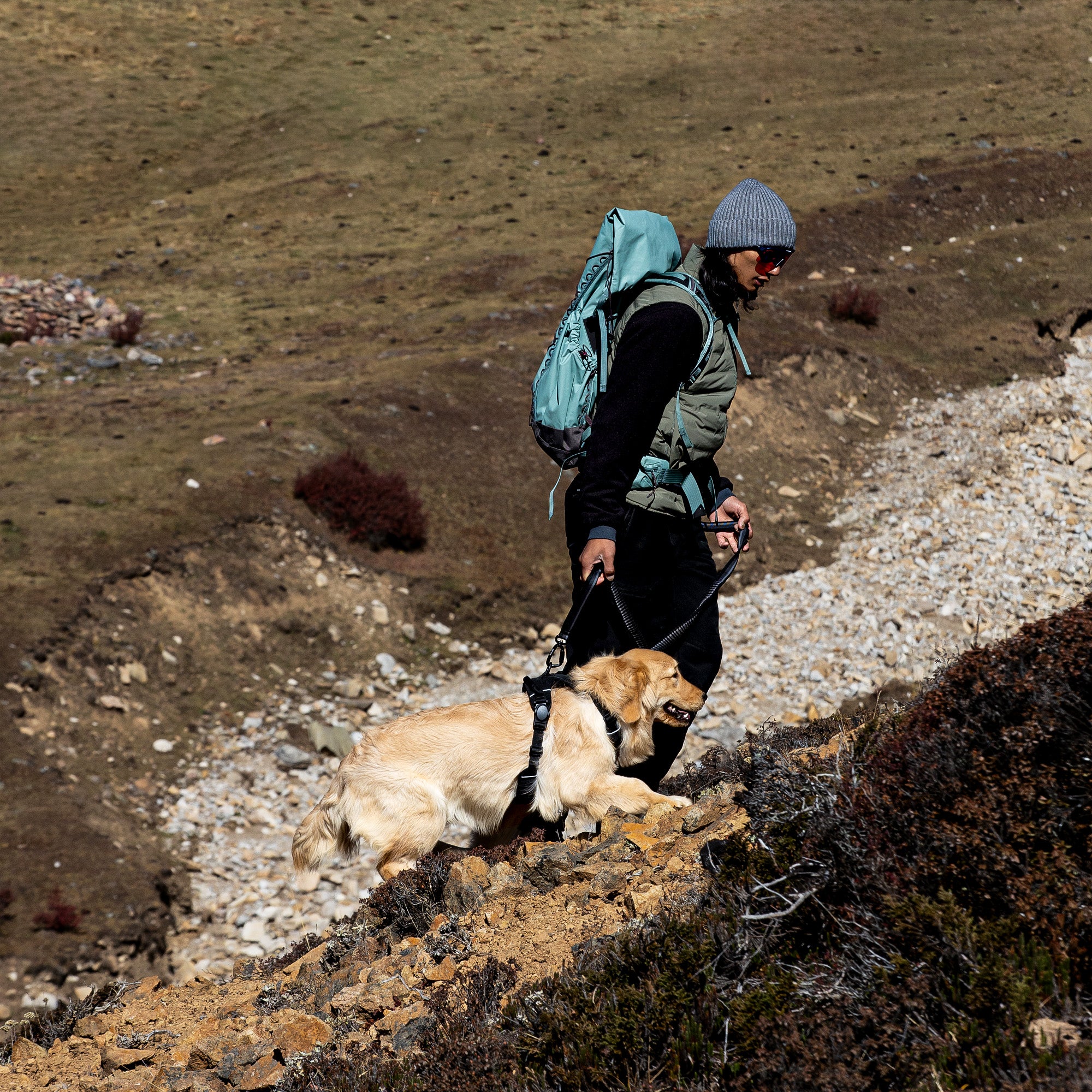 A man with a green bag hiking with a dog wearing black harness, with a black leash attached