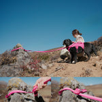 A woman sitting with a black dog in pink harness tied out on a rock, and the guidance of sliding the pink magnetic buckle to tie the leash on a rock