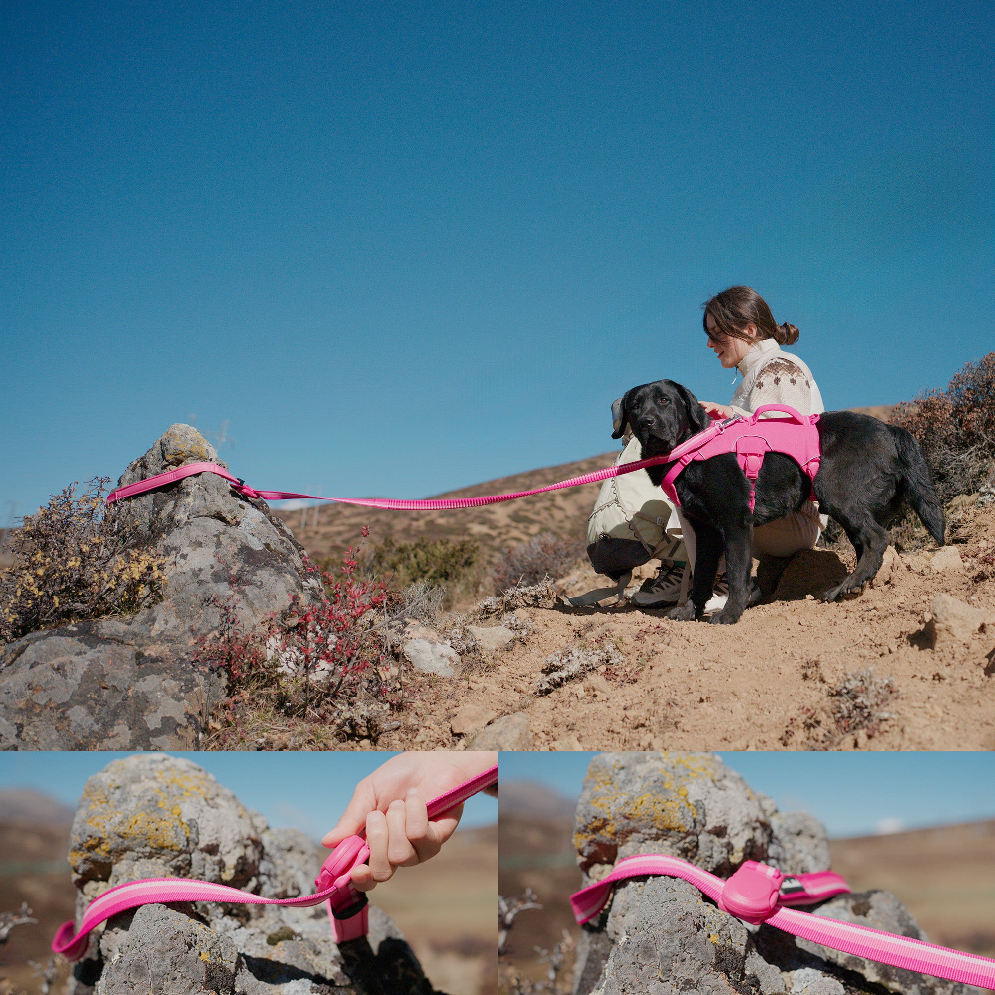 A woman sitting with a black dog in pink harness tied out on a rock, and the guidance of sliding the pink magnetic buckle to tie the leash on a rock