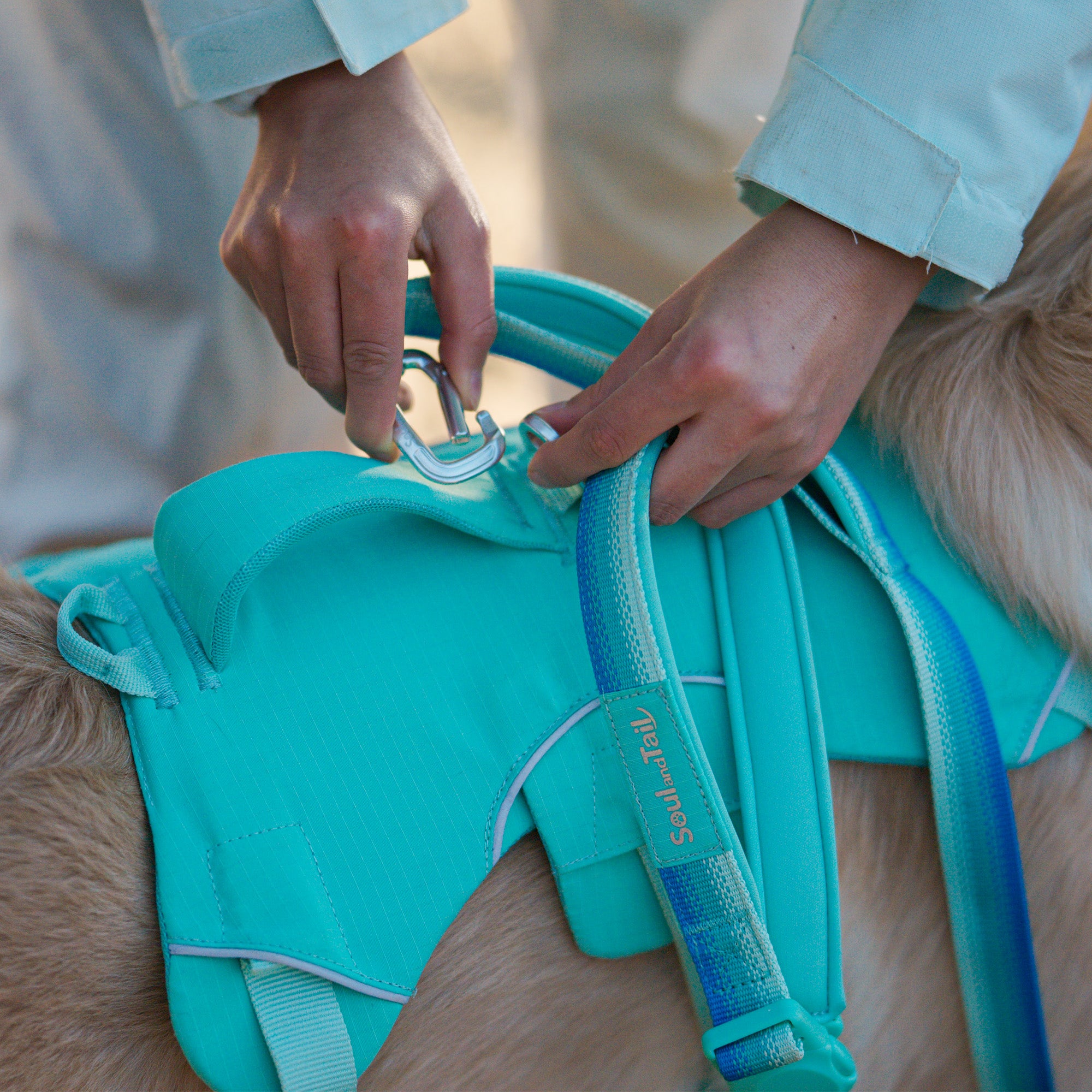 A pair of hands trying to clip a silver metal clip onto a metal ring on a mint green dog harness, to attach the mint green leash onto the dog wearing the harness