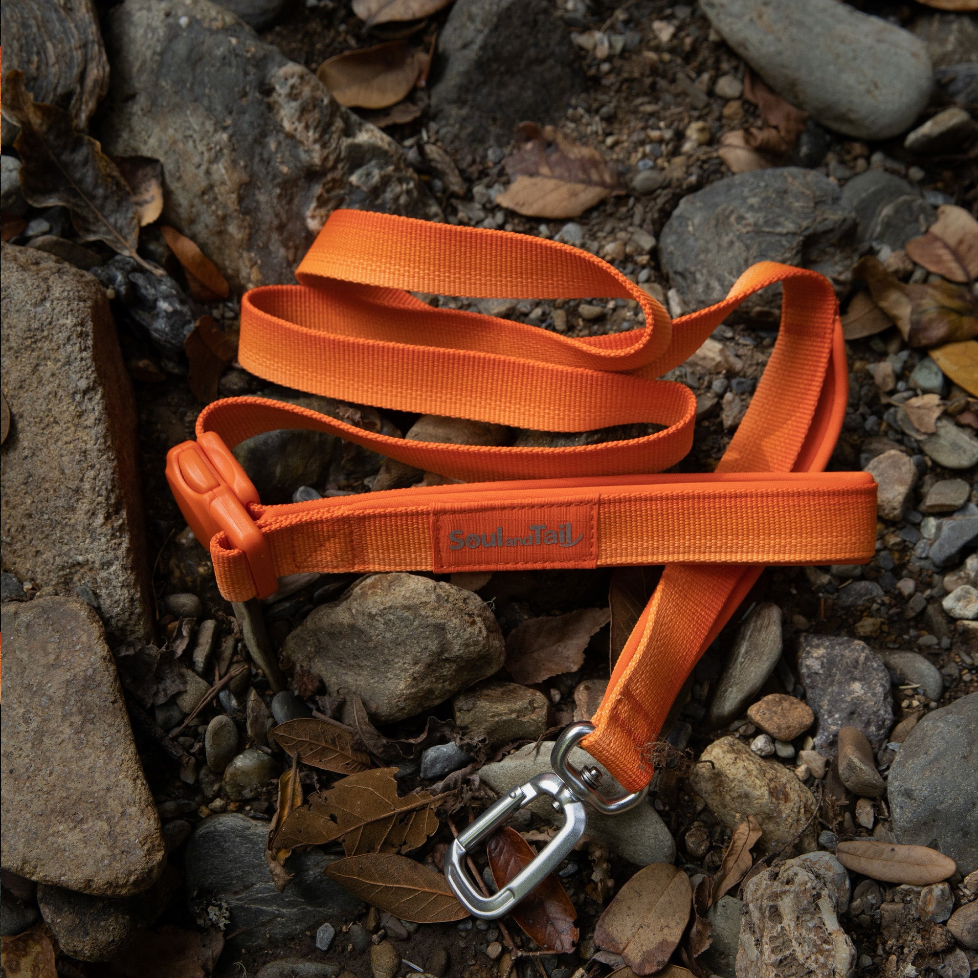 Orange dog leash lying on a rocky ground in a natural setting