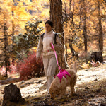 A woman walking a dog wearing pink harness using a pink leash in a forest with autumn foliage