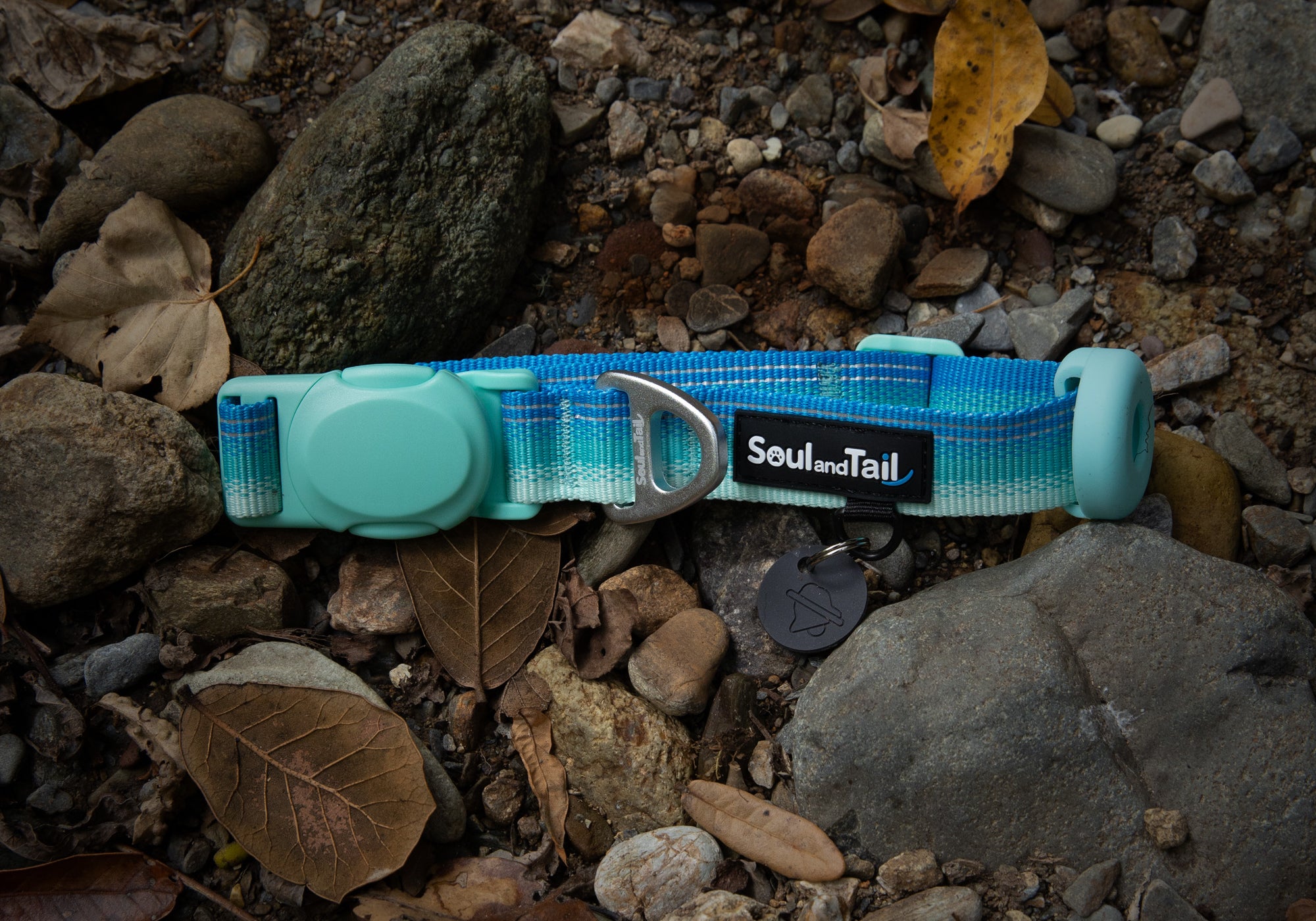 Blue and green gradient dog collar with a visible "Soul and Tail" brand logo on a rocky ground.