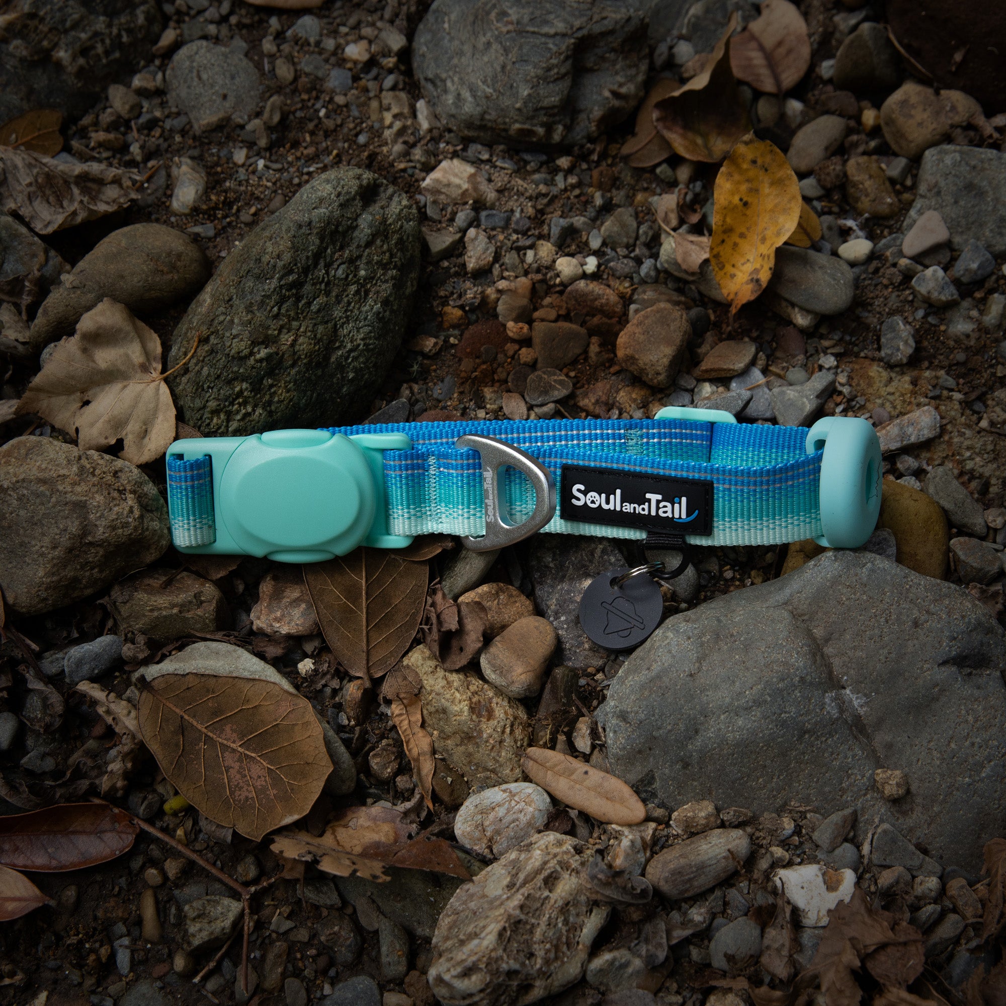 Blue and green gradient dog collar with a visible "Soul and Tail" brand logo on a rocky ground.