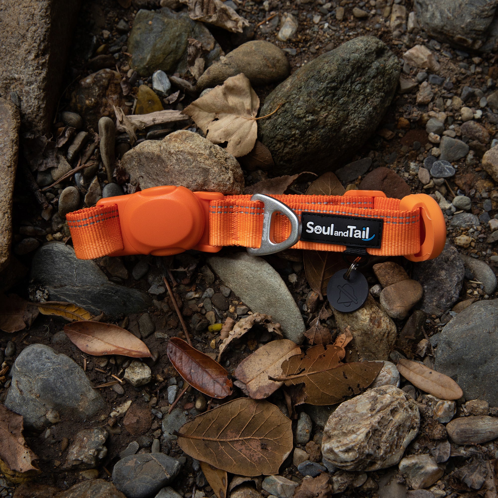 Orange dog collar with a "Soul and Tail" brand tag on a rocky ground