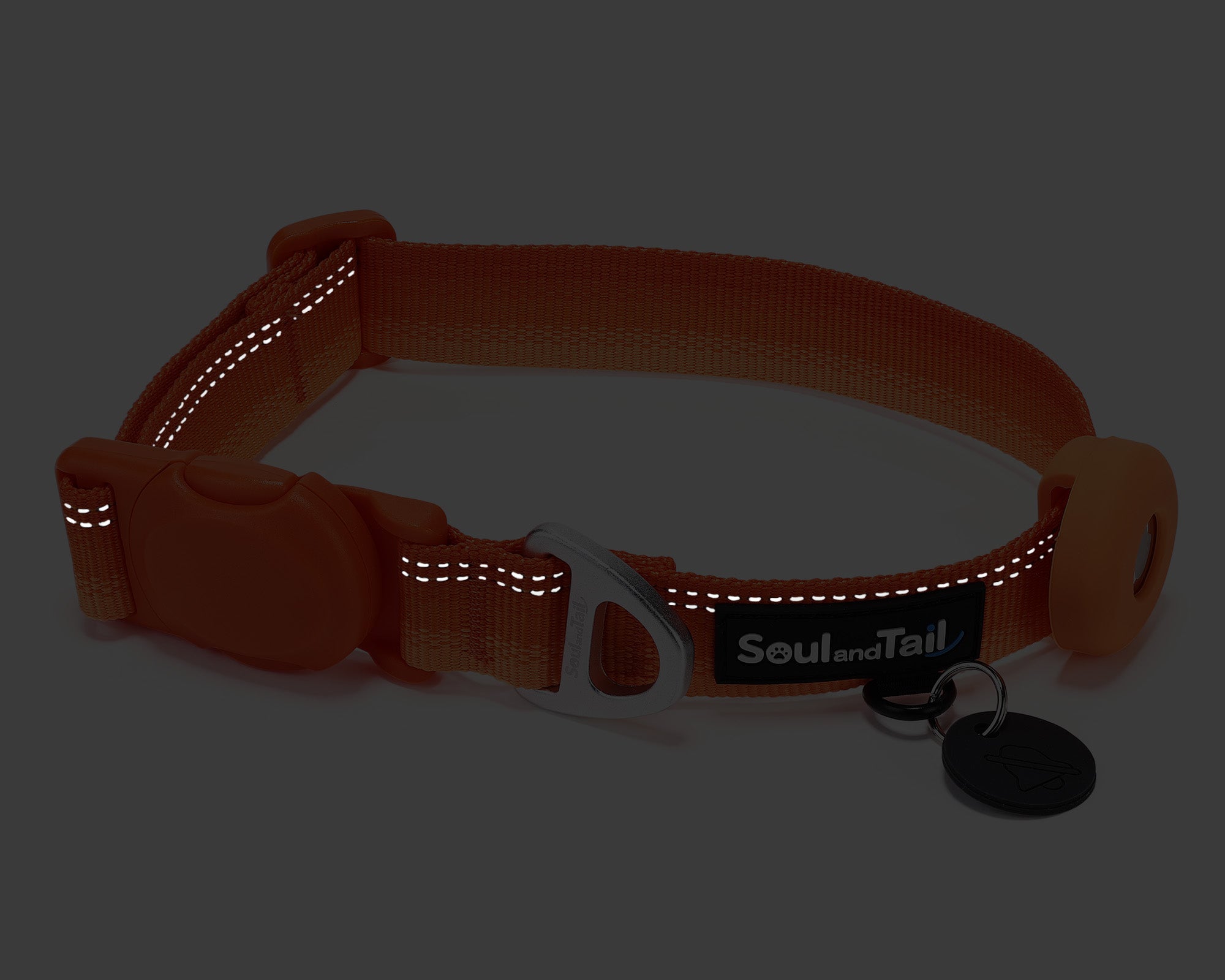 Dg collar with reflective strip and brand name "Soul and Tail" in low light condition on a grey background