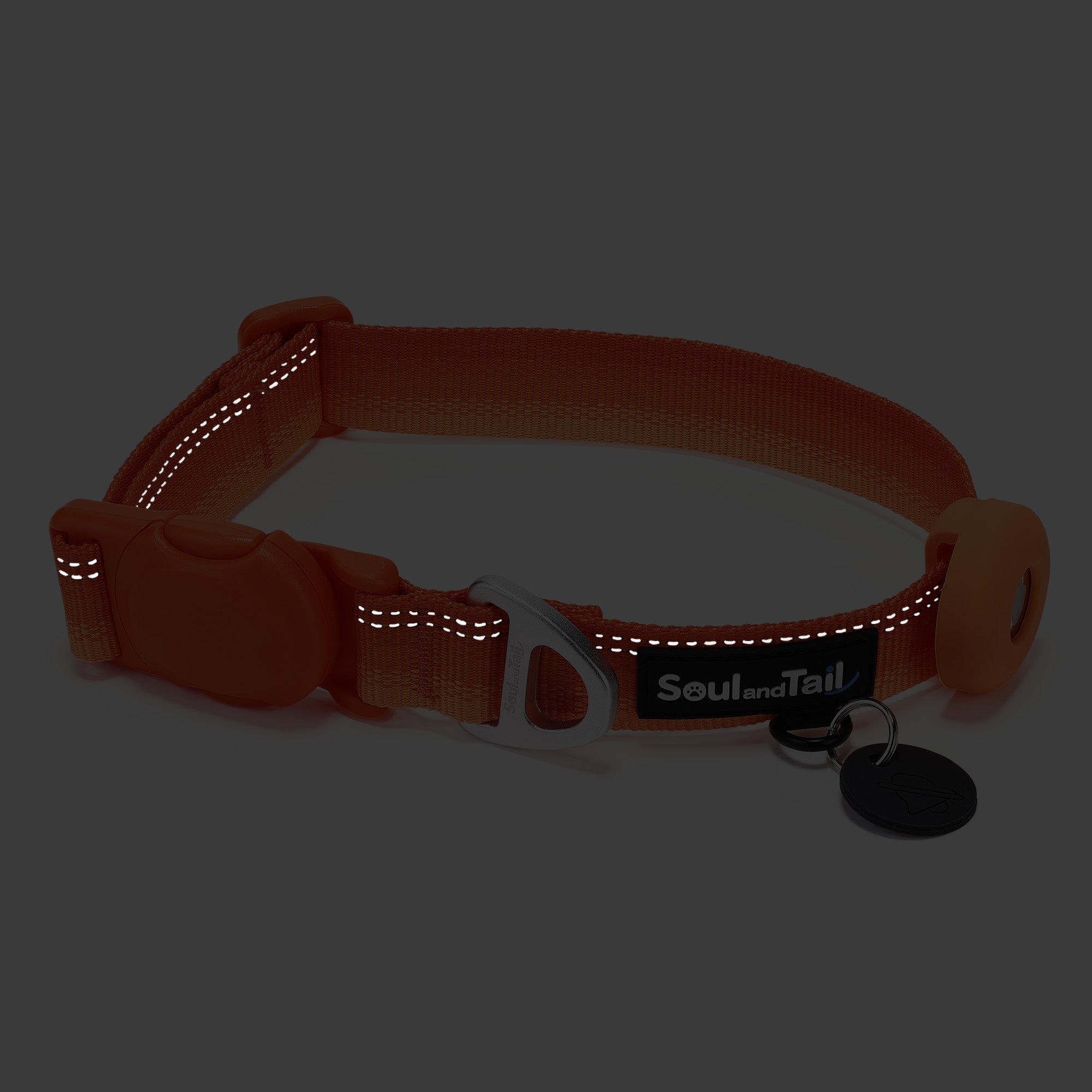 Dg collar with reflective strip and brand name "Soul and Tail" in low light condition on a grey background