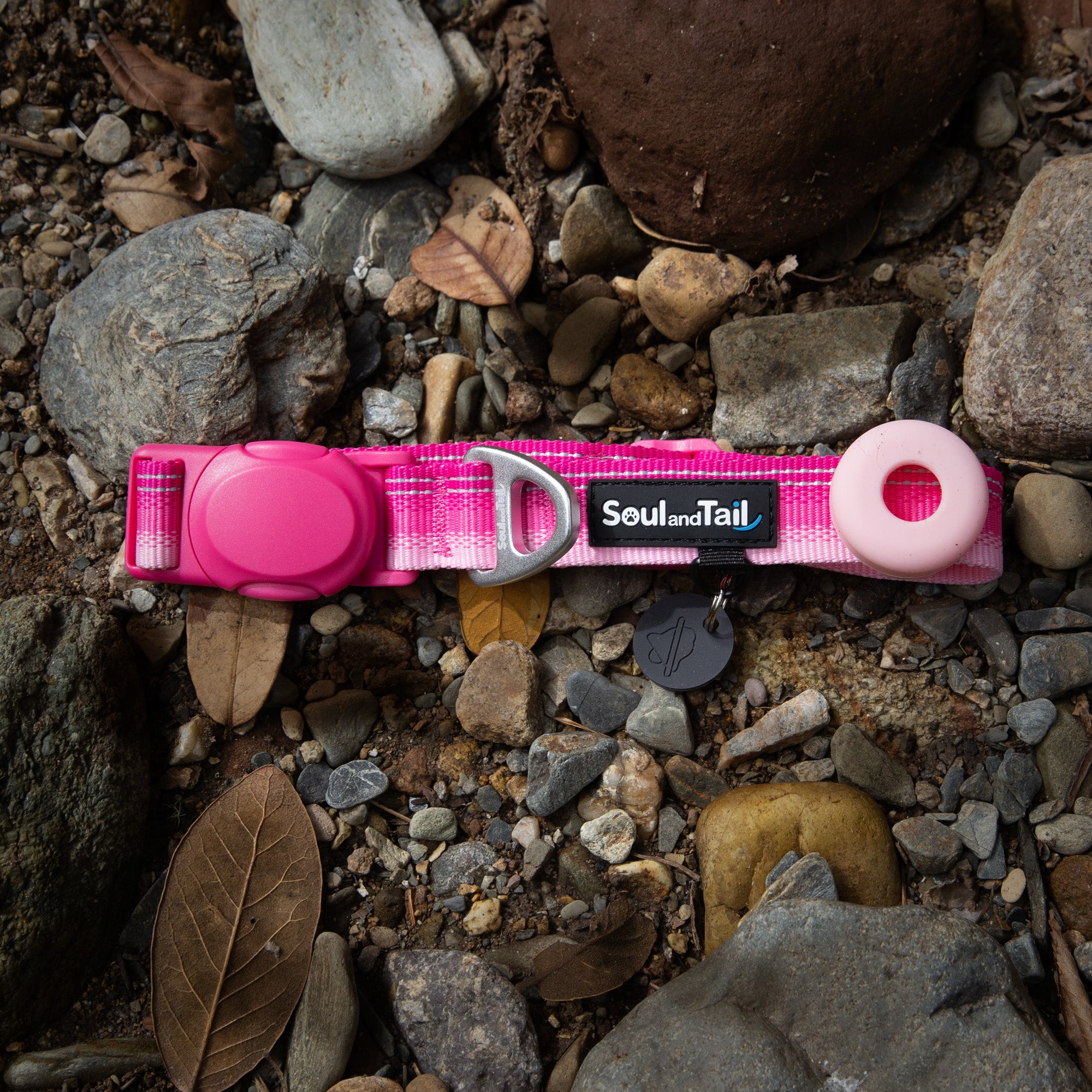 Pink dog collar with 'Soul and Tail' branding on a rocky ground.