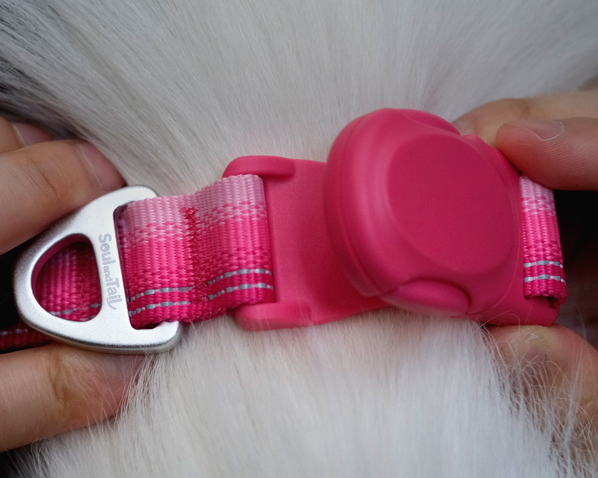 Close-up of a pink dog collar's pink magnetic buckle being adjusted on a white dog.