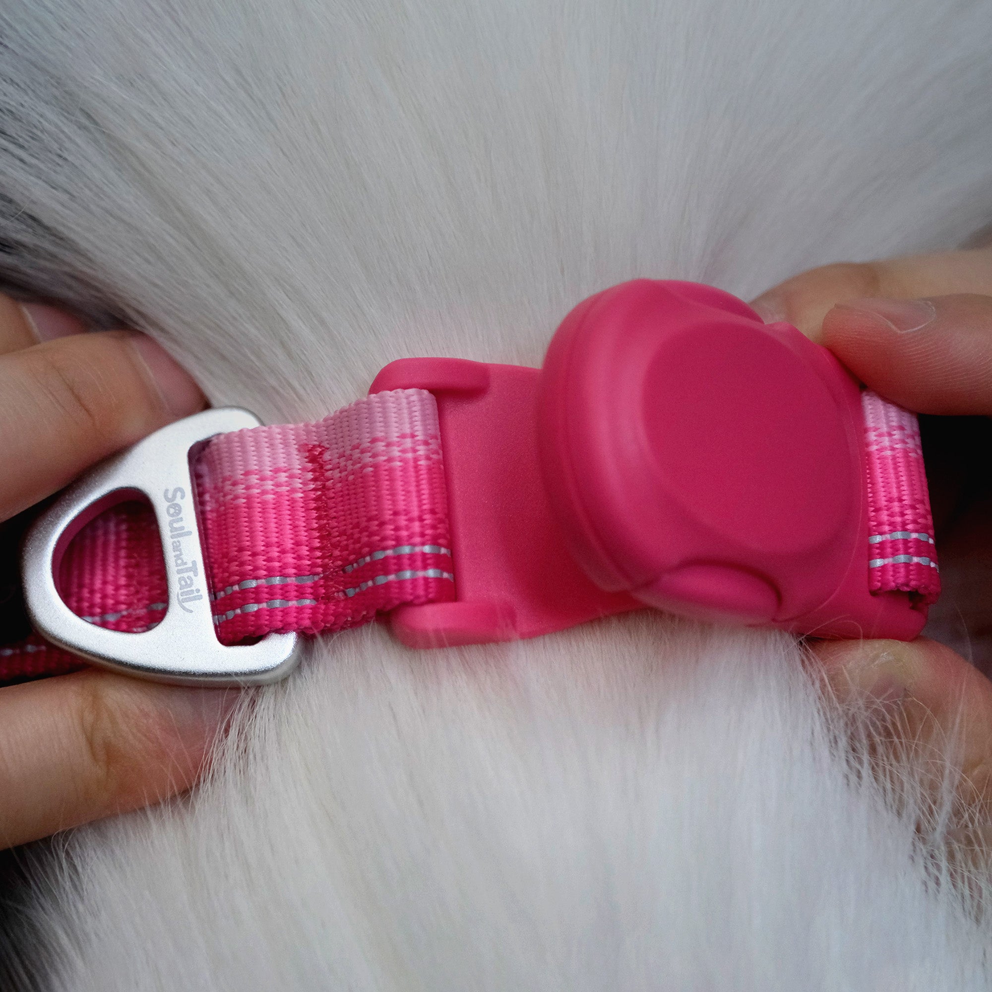 Close-up of a pink dog collar's pink magnetic buckle being adjusted on a white dog.